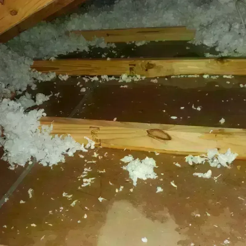 Attic Water Damage in Wellston, MO